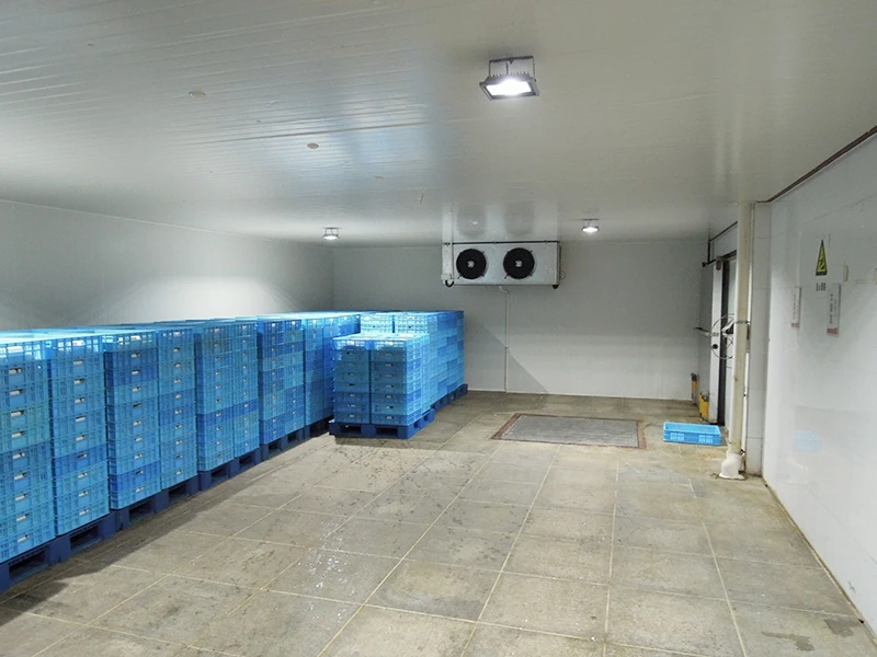 Freezer